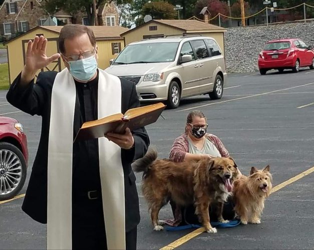 Blessing of the pets